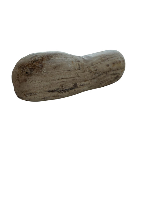 Petrified Wood - Natural Fossil Specimen